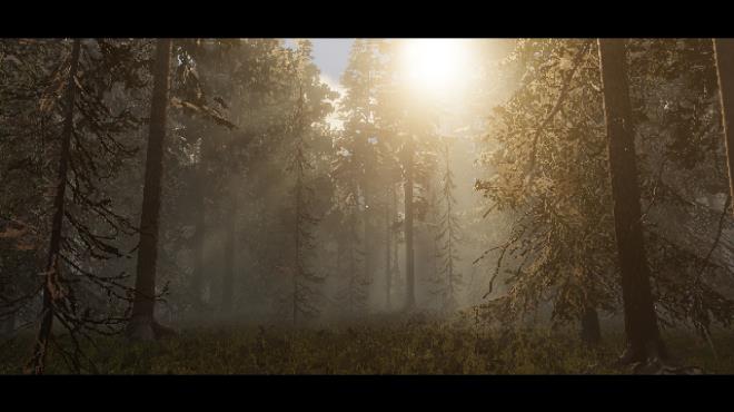 Silent Mourning Torrent Download